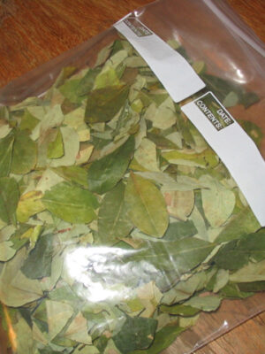 Coca-Leaves-for-Sale Buy Cocaine in toronto