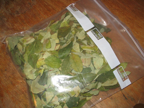 Coca-Leaves-for-Sale Buy Cocaine in toronto